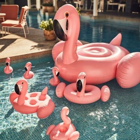 Cute Pool Floats, Summer Pool Floats, Flamingo Pool Float, Cool Pool Floats, Flamingo Float, Flamingo Pool, Pool Floaties, Inflatable Pool Floats, Fiesta Tropical