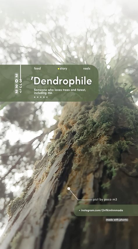 Dendrophile Quotes, Nature Typography Design, Forest Typography, Nature Typography, Instagram Design Creative, Luxury Packaging Design, Modern Graphic Art, Instagram Creative Ideas, Instagram Graphic