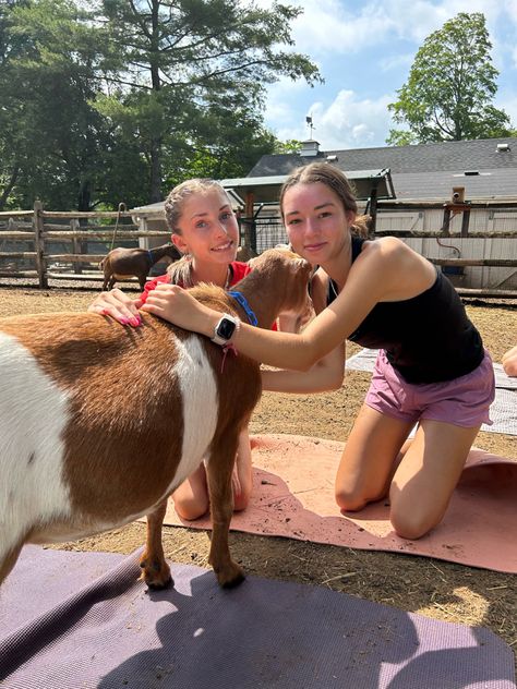 heres a goat yoga aesthetic!! #fashion #goatyoga #goat #yoga #yogaposes #yogalifestyle #vsco #summer Vsco Summer, Goat Yoga, Yoga Aesthetic, A Goat, Summer Bucket Lists, Yoga Lifestyle, Aesthetic Fashion, Yoga Poses, Goats