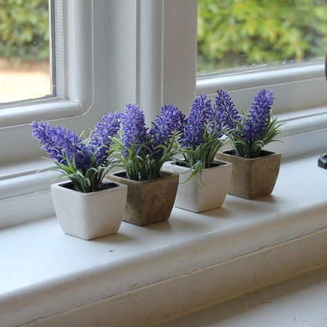 Lavender Pots, Growing Lavender Indoors, Lavender Pot, Lavender Potted Plant, Lilin Aroma, Potted Lavender, Artificial Plant Arrangements, Growing Lavender, Artificial Plants Indoor