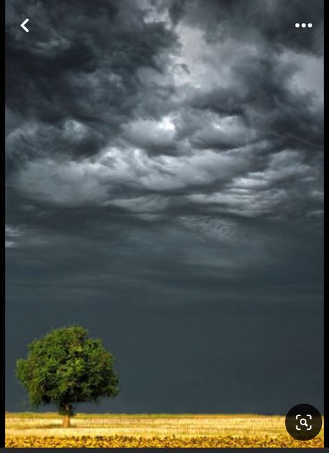 Ocean Storm, Hydrangea Painting, Weathered Paint, Stormy Sky, Landscape Quilts, Wax Painting, Lone Tree, Winter Nature, Beautiful Weather