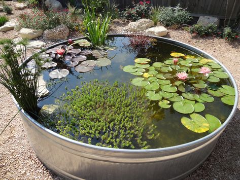 Metal Tank Garden Pond (Excellent how-to via the link. Don't forget to make the pond safe re children and other small creatures AND to prevent mosquitoes.) Container Pond, Ponds For Small Gardens, Container Water Gardens, Patio Pond, Goldfish Pond, Garden Seat, Pond Water Features, Pond Landscaping, Stock Tank