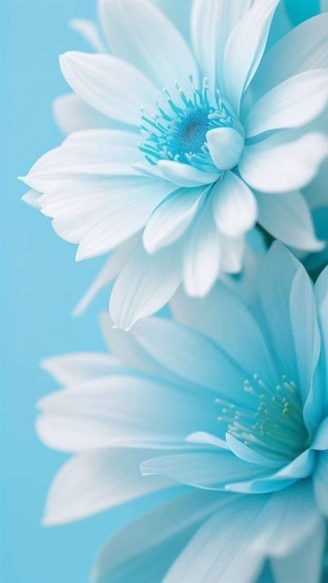 Spring Images Wallpaper, Blue Spring Wallpaper Iphone, Modern Wallpaper Phone, Phone Wallpaper Pink Aesthetic, Green Phone Background, Background I Phone, Aesthetic Wallpapers Iphone, Wallpapers For Phone, Blue And White Wallpaper