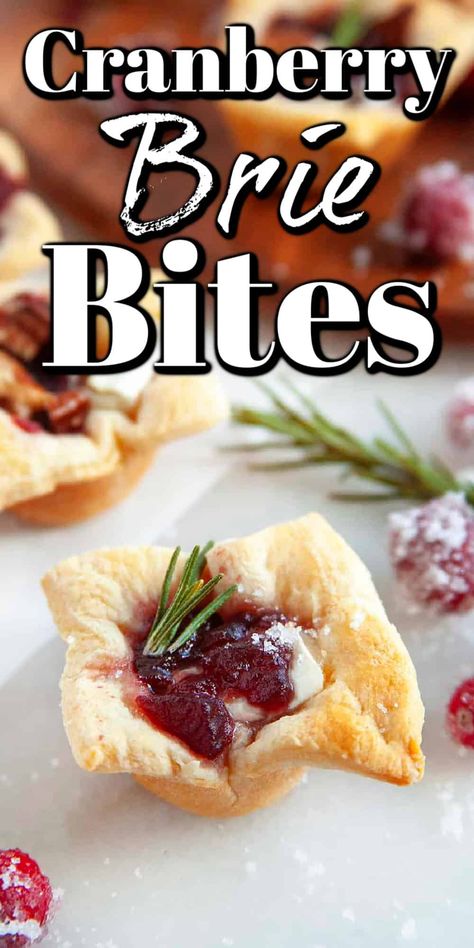 These Cranberry Brie Bites are the perfect appetizer to serve over the holidays. They are quick to make, festive, and delicious! The perfect little holiday nibble. Brie Bites Appetizer, Baked Crab Dip, Cranberry Appetizer, Cranberry Brie Bites, Cranberry Bites, Fancy Appetizer Recipes, Brie Cranberry, Brie Appetizer, Cranberry Brie