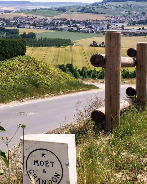 Moët & Chandon Aesthetic, Avenue De Champagne Epernay, Champagne Region France, Champagne France, Epernay France Champagne, Champagne Region, Paris Girl, Romantic Escapes, Wine Time