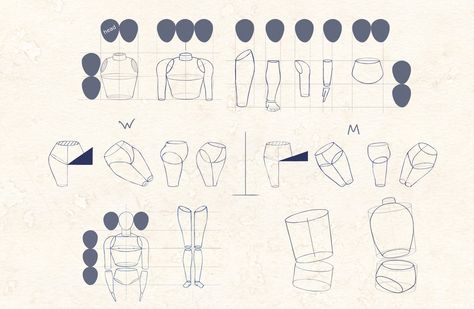 Ihor-Reshetnikov-Anatomy-Basic-Shapes Shapes For Anatomy, Anatomy Basic Shapes, Shapes Anatomy, Anatomy Shapes, Basic Anatomy, Tree Drawings Pencil, Iris Art, Anatomy Tutorial, Drawing Examples