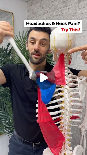 2M views · 44K likes | Dr. Joe Damiani - TMJ, Head & Neck Specialist on Instagram: "If you experience headaches and neck pain, then I’m sure you’ve tried many stretches and releases at the neck but we need to look further into the secondary impairments. Meaning what is causing everything to tighten up and produce headaches. One of those things have to do with the muscle that act the shoulder. In this video, I showed the latissimus dorsi and the upper trapezius and how they have a tug-of-war relationship. If you can mobilize the latissimus dorsi and free tension on the upper trap, you can reduce neck pain and headaches. Give the exercises in this video a try. #neckpain #neckpaintreatment #headacherelief #headachessuck #uppercervical #latsworkout #latissimusdorsi" Somatic Exercises For Neck And Shoulders, Relieve Tension In Neck And Shoulders, Head And Neck Stretches, Exercise For Stiff Neck And Shoulders, Neck Pain Exercises For Women, Neck Shoulder Stretches, Trap Stretches Neck Pain, Neck Stretches For Stiff Neck, Neck Muscle Exercises