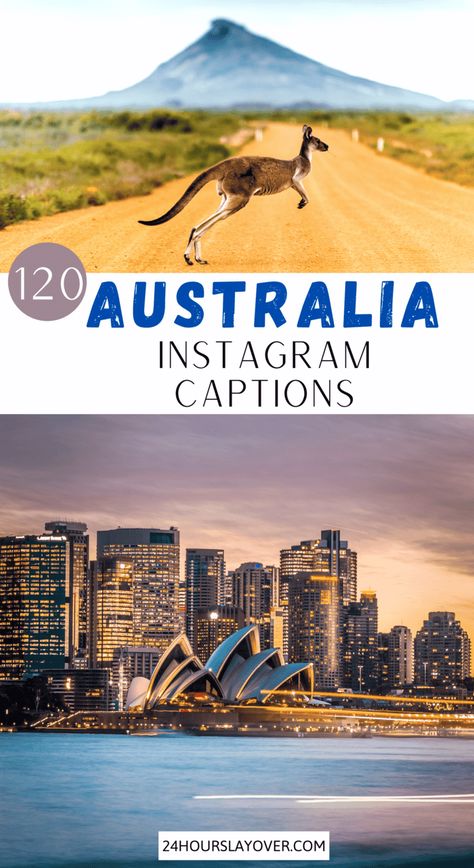 Looking for the best captions, quotes or puns about Australia? Australia's wildlife is unique & the beaches are out of this world! Whether you’re doing a road trip from Cairns to Sydney, visiting Byron Bay beaches or Rottnest Island to see the quokkas, going swimming with the humpback whales, seeing the kangaroos in Jervis Bay or checking out the Sydney Opera House or Instagrammable spots, there are many great things to do in Australia & there are aesthetic photo opportunities everywhere! Australia Quotes, Koala Puns, Australia Quote, Puns Quotes, Things To Do In Australia, Lone Pine Koala Sanctuary, Best Captions, Byron Bay Beach, Australia Funny