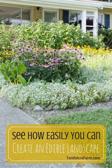 Edible Landscape, Grow Food, Permaculture Gardening, Edible Landscaping, Landscaping Supplies, Front Yard Garden, Landscaping Tips, Food Garden, Growing Food