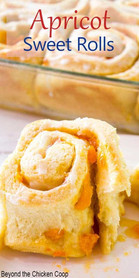 Apricot Rolls, Apricot Filling Recipe, Apricot Filling, Apricot Dessert, Crescent Roll Dessert, Fresh Apricots, Sweet Roll Recipe, Apricot Recipes, Best Bread Recipe