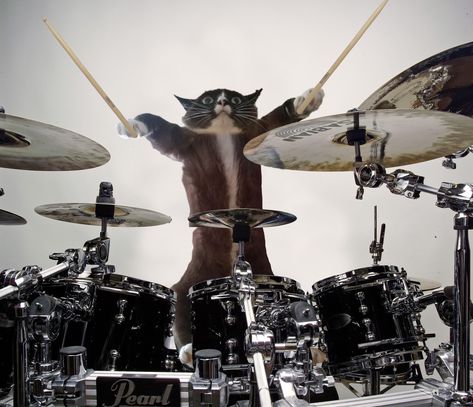 Heavy Metal Cat, Playing Drums, Playlist Covers Photos, Image Cat, Music Pics, Silly Cats Pictures, How To Play Drums, Bill Kaulitz, Drum Set