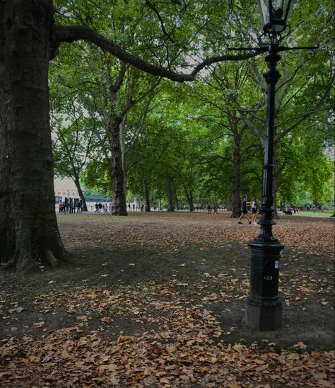 Aesthetic Park, Park Aesthetic, Aesthetic London, Nature Leaves, London Aesthetic, Aesthetic Nature, Green Park, Eras Tour, Green Brown