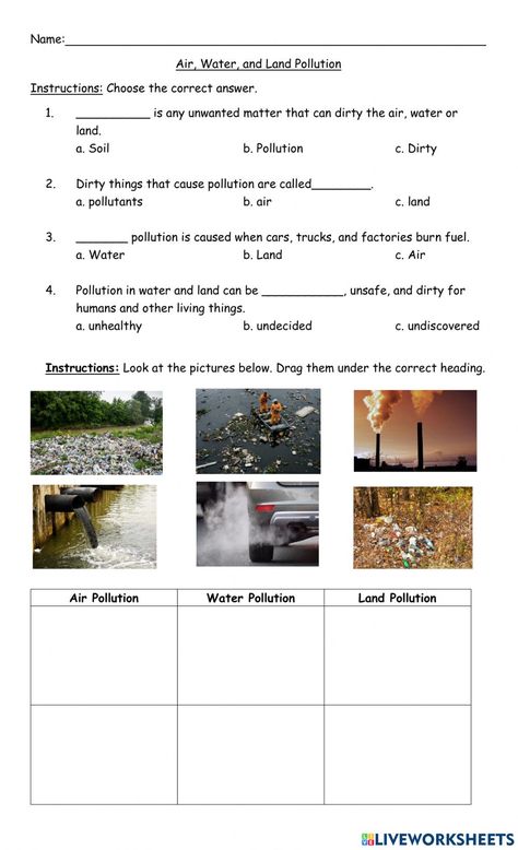 Water Pollution Worksheet, Pollution Activities Worksheets, Land Pollution, Pollution Activities, Environmental Degradation, Environmental Studies, Water Pollution, Environmental Awareness, Choice Questions