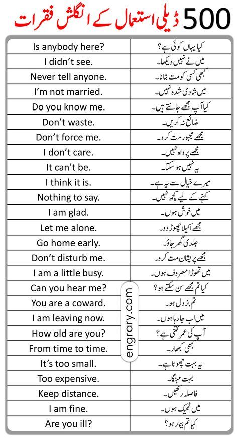 Islamic Vocabulary, English To Urdu Sentences, English To Urdu Dictionary, Urdu Dictionary, Sahil Khan, Purple Vegetables, Simple English Sentences, Basic English Grammar Book, Daily Use Words