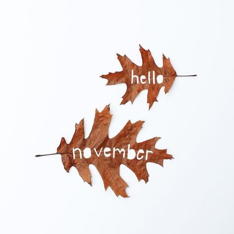 hello november Hello Novembre, Hallo November, November Backgrounds, Julia Smith, Welcome November, November Wallpaper, Hello November, November Month, Fall Inspiration