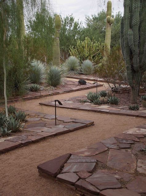 Desert Garden Landscaping, Buchart Gardens, Desert Landscape Design, Desert Backyard, Landscaping Around House, Desert Botanical Garden, Desert Garden, Cactus Garden, House Landscape