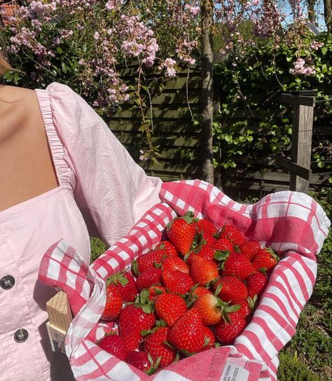 Strawberry Pictures, Strawberry Summer, Strawberry Fields, Spring Aesthetic, Strawberries And Cream, Strawberry Shortcake, Aesthetic Food, Summer Aesthetic, Love Food