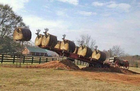 Bales of hay santa, and reindeer. Hay Bale Christmas Decor, Hay Bale Art Ideas, Christmas Hay Bales, Hay Bale Christmas, Christmas Hay Bale, Farm Playground, Hay Bale Decorations, Farm Decorations, Hay Bale Art