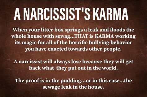 Vindication Quotes, Emotional Vampire, Narcissism Quotes, Narcissistic Personality, Gaming Room Setup, Family Law, Gaming Room, Room Setup, Dry Brushing