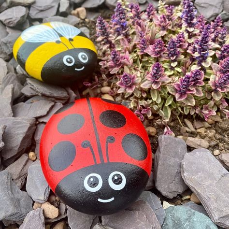 Bee Rocks, Miraculous Cat Noir, Fairy Garden Gifts, Rock Projects, Ladybug Rocks, 동화 삽화, Stone Art Painting, Rock Hand, Painted Rocks Kids