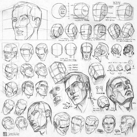 James Ng on Twitter: "I get asked sometimes about my #anatomy #sketches. Finally cleaned them up, download them from the link in high res, hope it's helpful to some! https://t.co/8baJg8WDCh… https://t.co/DwzhWHLNJY" 얼굴 드로잉, Drawing Tutorial Face, Human Anatomy Drawing, 얼굴 그리기, Human Figure Drawing, Drawing Heads, Human Anatomy Art, Anatomy Sketches, Drawing Faces