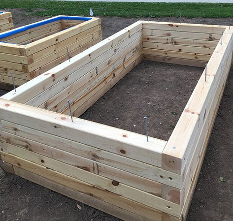 Built Up Garden Beds, 4x4 Garden Bed, 4x4 Raised Garden Bed, Raised Bed Construction, 4x4 Garden, Scott Shrader, Wood Garden Beds, Raised Bed Gardens, Garden Construction