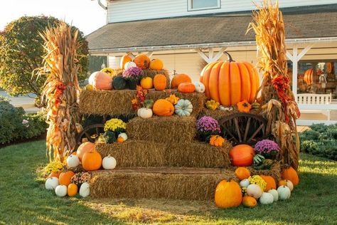 Fall Outdoor Decorations, Fall Photo Booth, Fall Festival Decorations, Pumpkin Patch Ideas, Fall Festival Games, Fall Yard Decor, Pumpkin Patch Photoshoot, Pumpkin Patch Party, Garden Center Displays