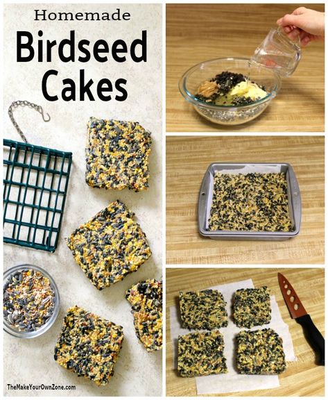 Pet Bird Treats Homemade, Diy Birdseed Cakes, Homemade Suet Bird Feeders, Homemade Bird Suet Recipe, Easy Diy Bird Feeder Homemade, How To Make Bird Seed Cakes, Home Made Bird Food, Suet Bird Feeder Diy Recipes For, Bird Treats Diy