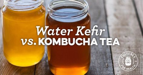 Water Kefir vs. Kombucha: What Should You Be Drinking? Kombucha Flavors Recipes, Kefir Starter, Kefir Benefits, Kombucha Starter, Kombucha Benefits, Kombucha Flavors, Kombucha Scoby, How To Brew Kombucha, Kombucha Recipe