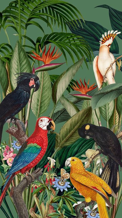 Exotic birds jungle iPhone wallpaper. Remixed by rawpixel. | premium image by rawpixel.com / Adjima Jungle Iphone Wallpaper, Iphone Wallpaper Jungle, Iphone Wallpaper Tropical, Tropical Prints Pattern, Parrot Wallpaper, Vintage Bird Illustration, Jungle Birds, Jungle Flowers, Artsy Background