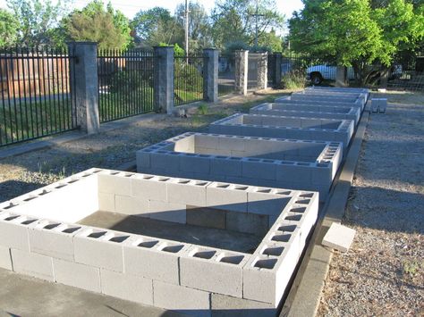 Bocce Ball court turns into Bocce Gardens - using cinder blocks to create raised beds. Raised Garden Beds Cinder Blocks, Backyard Raised Garden, Cinder Block Garden, Building Raised Garden Beds, Cinder Blocks, Building A Raised Garden, Planting Plan, Large Backyard, Square Foot Gardening