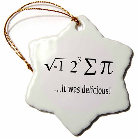 Math Ornaments, Math Christmas Ornaments, Math Decorations, Alexa Skills, Geek Crafts, Christmas Math, Math Words, Math Humor, 3d Rose