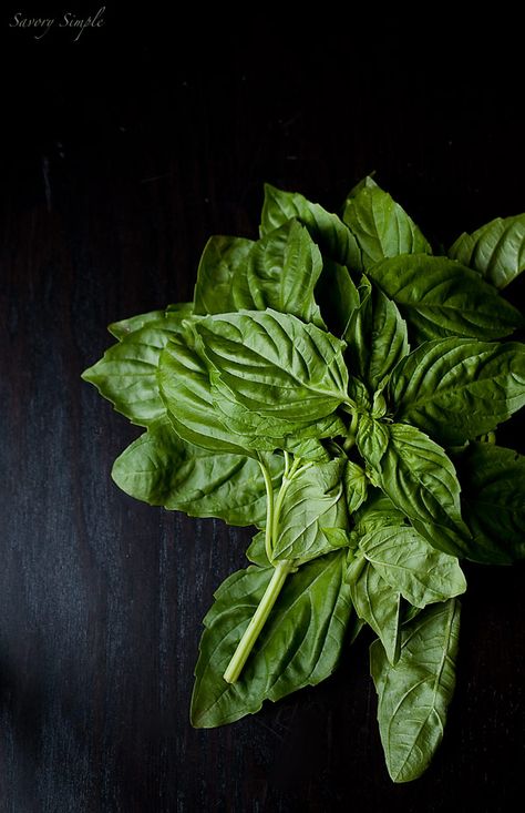 Basil Photography, Tulsi Basil, Benefits Of Basil, Hair Nutrition, Abs Fast, Healthy Eyes, Holy Basil, Spices And Herbs, Welcome Spring