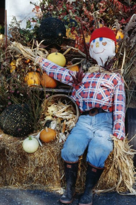 How to Make a Sitting Scarecrow | eHow Sitting Scarecrow, Scarecrow Festival, Make A Scarecrow, Scarecrows For Garden, Diy Scarecrow, Scarecrow Face, Homemade Halloween Decorations, Fall Scarecrows, Scary Halloween Decorations