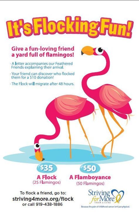 People pay to have flamingos put in friends and families yards! Ideas for your next fundraiser for your school. My Big Day Event Planning & Marketing - Serving Northern CO, Wyoming, Colorado Mountains, and the Front Range www.mybigdaycompany.com #Colorado #party #events #unique #creative #school #fundraiser #flamingos Flock Fundraiser, Fun Raiser Ideas, Flocking Fundraiser, Easy School Fundraisers, Creative Fundraising, Charity Work Ideas, Sports Fundraisers, Pta Fundraising, Easy Fundraisers