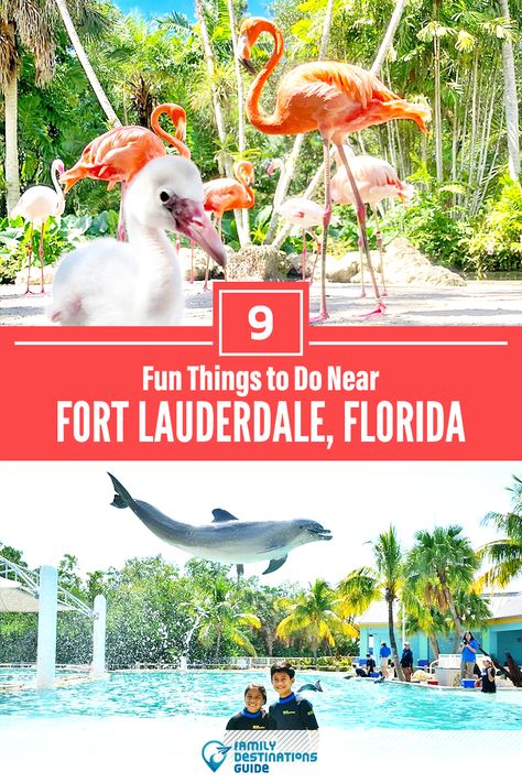 Fort Lauderdale Things To Do, Cruise 2023, Fort Lauderdale Beach, Hollywood Florida, Florida Resorts, Fort Lauderdale Florida, Ft Lauderdale, Southern Hospitality, Summer Trip