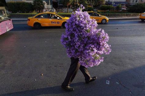 Hipster Cafe, Giving Flowers, Nothing But Flowers, First Day Of Spring, Flower Therapy, Arte Inspo, Street Photographers, July 17, My Flower