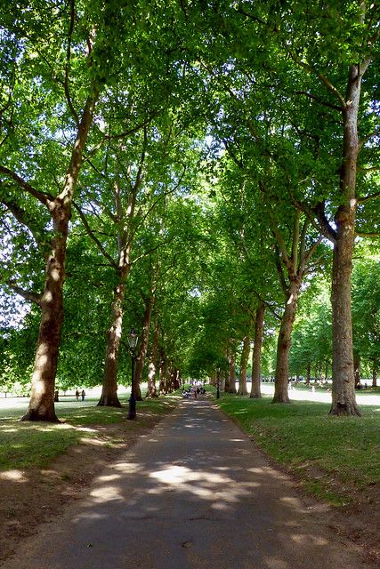 Green park London England | Chris | Flickr Green Park London, Zepeto Park Background, Conceptual Photo, Girl Iphone Wallpaper, New Things To Try, Dream Date, Bokeh Background, London Park, Paris Photography