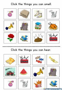 Senses Language: English Grade/level: PRESCHOOL School subject: Science Main content: Five senses Other contents: FIVE SENSES Solar System Song, Science Food Chains, Body Parts For Kids, States Of Matter Worksheet, Excretory System, Matter Worksheets, Plants Unit, Animal Cell, Force And Motion