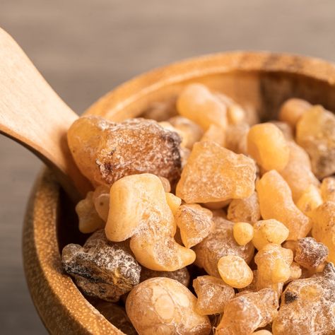 Here's an article from WebMD about the uses of Frankincense essential oil: https://www.webmd.com/diet/health-benefits-frankincense-essential-oil I've heard many of you asking about its benefits for pain. The article highlights how to use it as an anti-inflammatory aide. You can find Frankincense (Boswellia Serrata) essential oil on our webpage: https://smallbatchgarden.com/products/frankincense-essential-oil #essentialoils #pickellijay #herbalist #ellijayga #supportlocal #homeapothecary #g... Boswellia Benefits, Musk Essential Oil, Boswellia Serrata, Honey Candle, Candle Lid, Natural Fragrance Oil, Frankincense Myrrh, Patchouli Oil, Candle Supplies