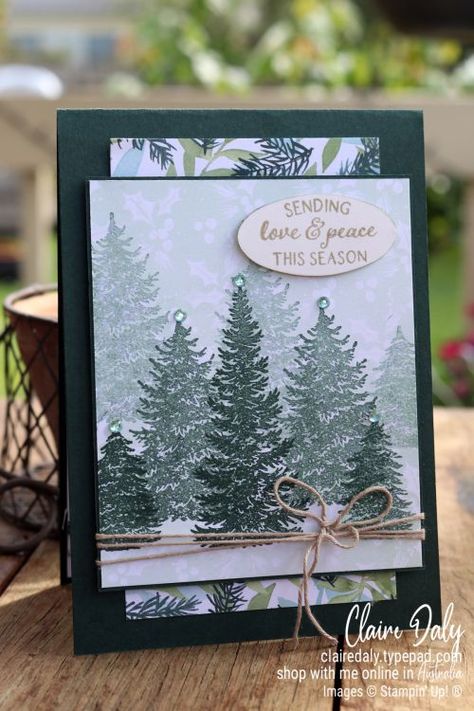 Stampin Up Evergreen Elegance Cards, Winter Stampin Up Cards, Christmas Card Stampin Up Ideas, Stampin Up 2022 Christmas Cards, Stampin Up Christmas Cards 2021-2022, Evergreen Elegance Stampin Up Cards, Stampin Up Christmas 2022, Painted Christmas Stampin Up Cards, Christmas Cards Stampin Up Ideas 2022