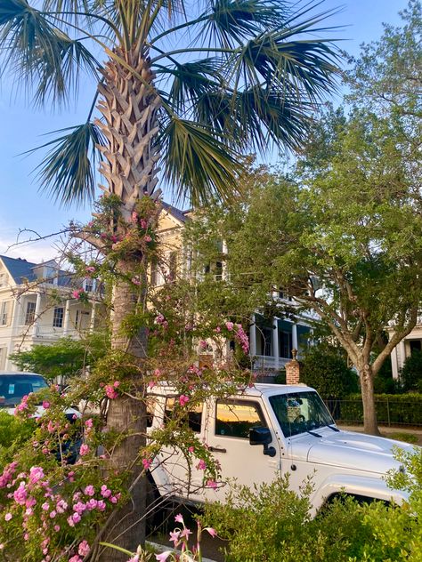 Jeep Sunset, Charleston Aesthetic, Steph Bohrer, Charleston Beaches, Preppy Vacation, White Jeep, College Of Charleston, Charleston Travel, American Road