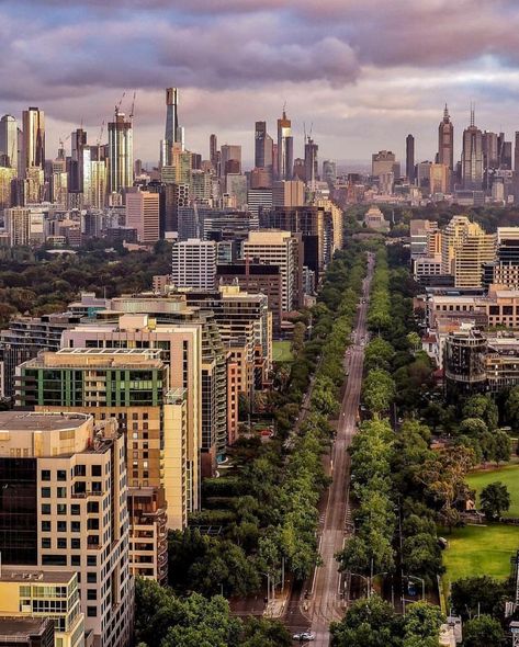 Melbourne Skyline, Melbourne Travel, Melbourne Suburbs, Australia Tourism, Travel Uk, Tall Buildings, Australia Sydney, St Kilda, Beautiful Places On Earth