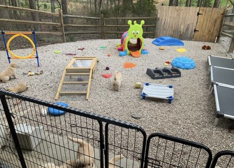 Dog Breading Set Up, Outdoor Puppy Pen, Dog Breeder Setup Indoor, Outdoor Puppy Play Area, Puppy Breeding Room, Dog Breeder Kennel Ideas, Dog Breeder Setup, Puppy Play Area, Whelping Room Ideas