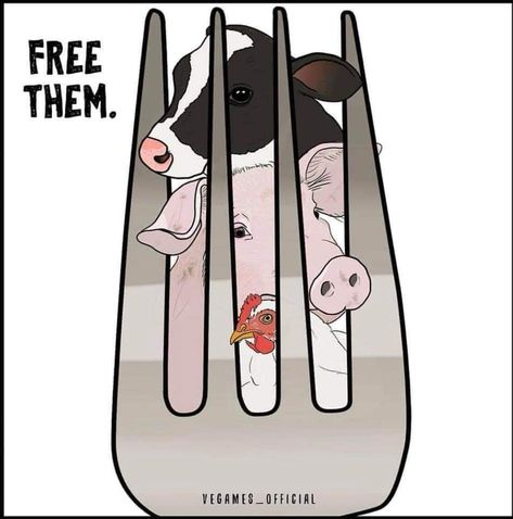 Animal Cruelty Posters, Animal Cruelty Art, Vegan Art, Animal Liberation, Stop Animal Cruelty, Poster Drawing, Vegan Animals, Gcse Art, Animal Facts