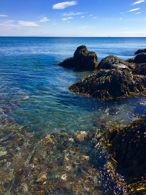 Summer time at Bray beach Ireland Bray Ireland Aesthetic, Irish Beach Aesthetic, Summer In Ireland Aesthetic, Ireland Beach Aesthetic, Irish Summer Aesthetic, Dublin Beach, Leo Core, Summer Ireland, Irish Photography