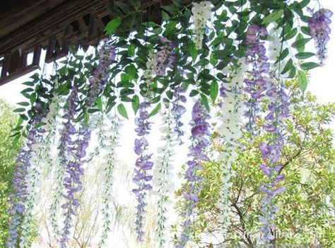 Wedding Plants Decor, Wedding Wisteria, Fake Flowers Decor, Fake Ivy, Wisteria Vine, Flower Room Decor, Wisteria Flowers, Flower Ceiling, Wedding Plants