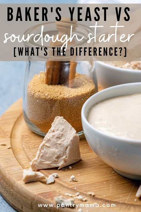 Sourdough Vs Yeast, Instant Sourdough Yeast Recipes, Bread Starters, The Pantry Mama, Wild Yeast Starter, Dough Starter Recipe, Pantry Mama, Artisan Sourdough, Bakers Yeast