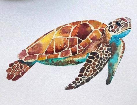 Sea Turtle Artwork, Sea Murals, Sea Turtle Drawing, Sea Turtle Watercolor, Turtle Watercolor, Turtle Drawing, Underwater Painting, Sea Turtle Art, Kalamkari Painting