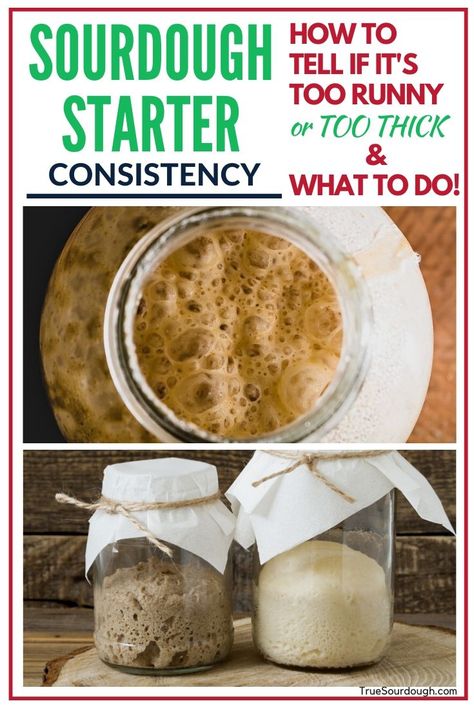 I was worried that my sourdough starter was too thick until I read this! Lot's of tips on maintaining sourdough starter, and what to do if it's too thick or too runny. #sourdoughstarter #sourdough #sourdoughtroubleshooting #sourdoughbread Preserve Recipes, Sourdough Starter From Scratch, Make A Sourdough Starter, Recipe Using Sourdough Starter, Sourdough Bread Starter, Dough Starter, Sourdough Starter Discard Recipe, Starter Recipe, Frugal Recipes